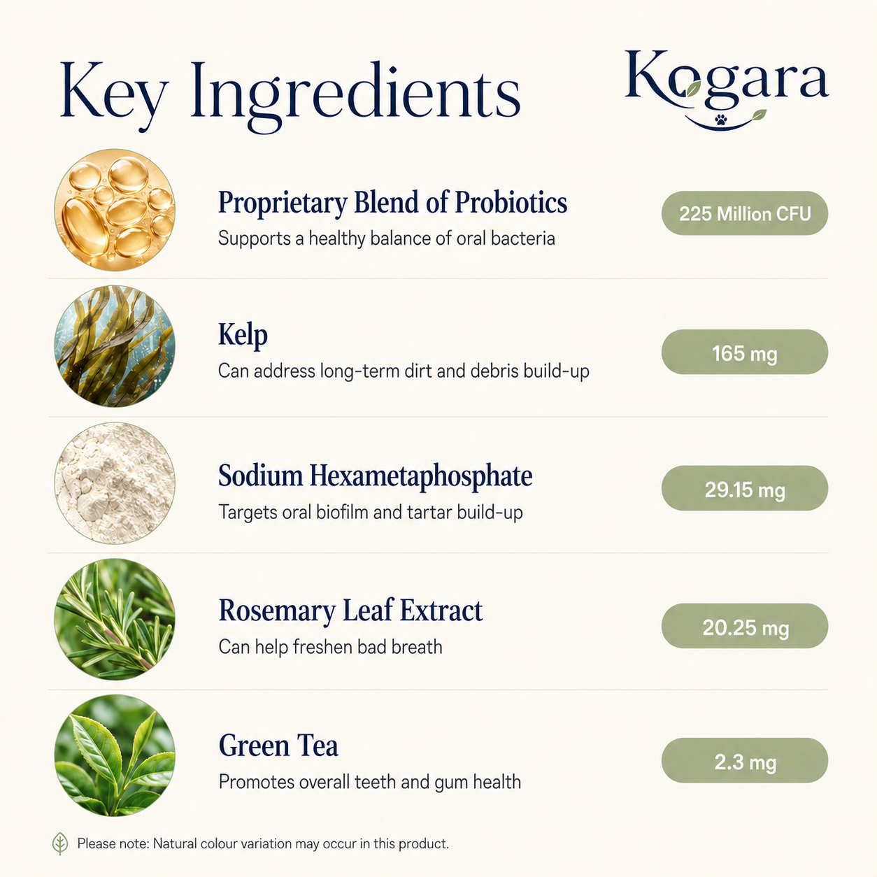 Kogara™ – Dog Dental Powder | Fresh Breath & Clean Teeth Without Brushing