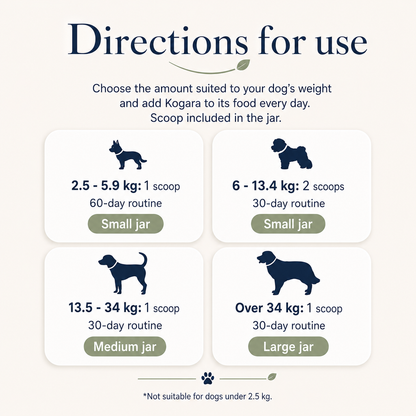 Kogara™ – Dog Dental Powder | Fresh Breath & Clean Teeth Without Brushing
