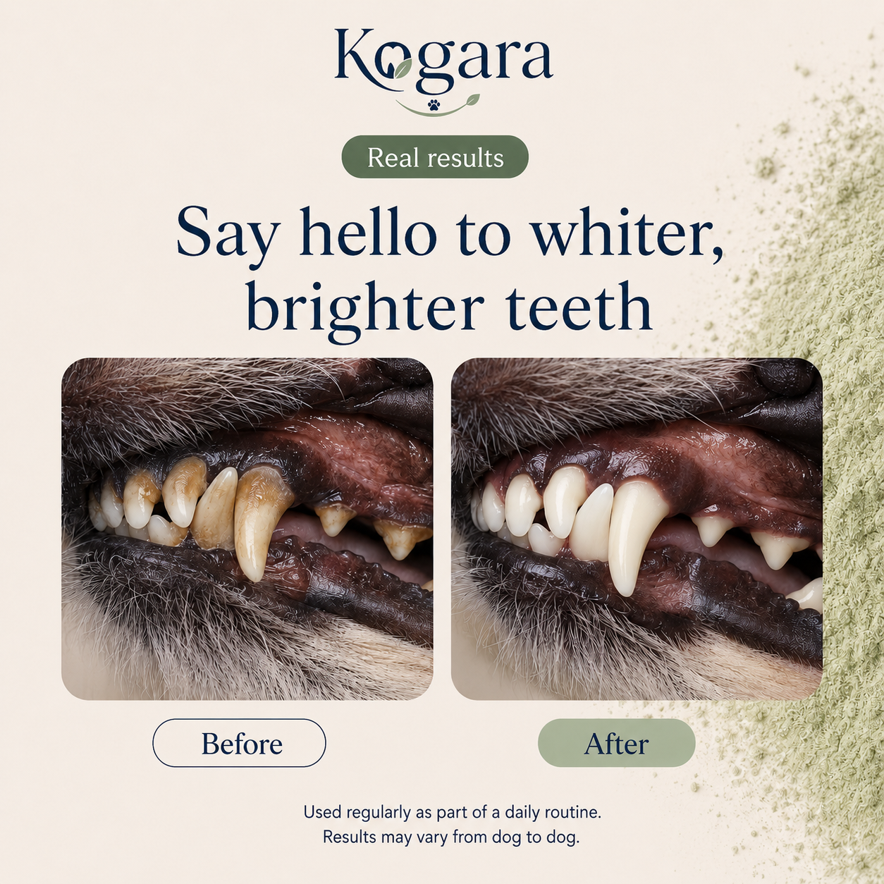 Kogara™ – Dog Dental Powder | Fresh Breath & Clean Teeth Without Brushing