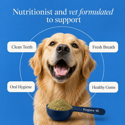 Kogara™ – Dog Dental Powder | Fresh Breath & Clean Teeth Without Brushing