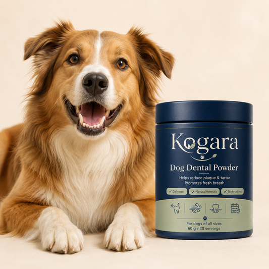 Kogara™ – Dog Dental Powder | Fresh Breath & Clean Teeth Without Brushing